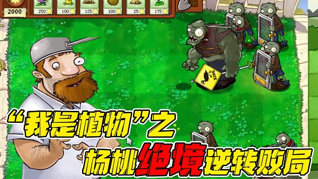 植物大战僵尸：戴夫的游戏挑战，杨桃绝境逆转局面
