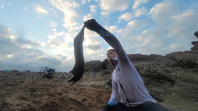 小明再次遇到凶猛大海鳗，这次更凶猛，张开满口的利齿跟小明对抗