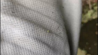 大貨大貨