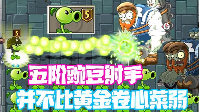 植物大战僵尸：五阶豌豆射手非常值得升五阶！不比卷心菜弱！