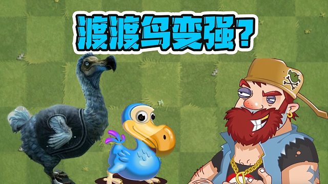 植物大战僵尸：戴夫有一万种办法！让渡渡鸟变强？