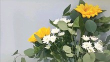 13秒""爱情