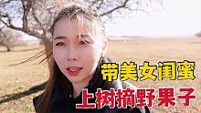 內(nèi)蒙有啥野果子能吃？帶美女閨蜜上樹摘果子，酸甜口感童年的味道