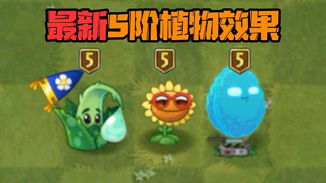 植物大战僵尸：最新可以升5阶的植物，PVZ官方指定炮灰石锤了