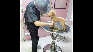 不直播的我