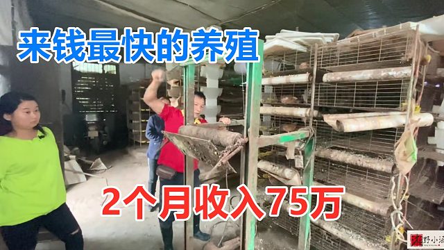 来钱最快的养殖，2个月收入75万，一个人能养50000只，超火爆！