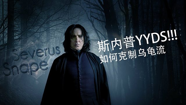 教学：斯内普对乌龟流