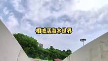 哎喲我的媽！小伙看免費的沒少喝呢#玩水就到活海 #遇見巨石山見證520