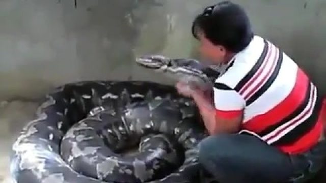 大蟒蛇---洗个澡过年了