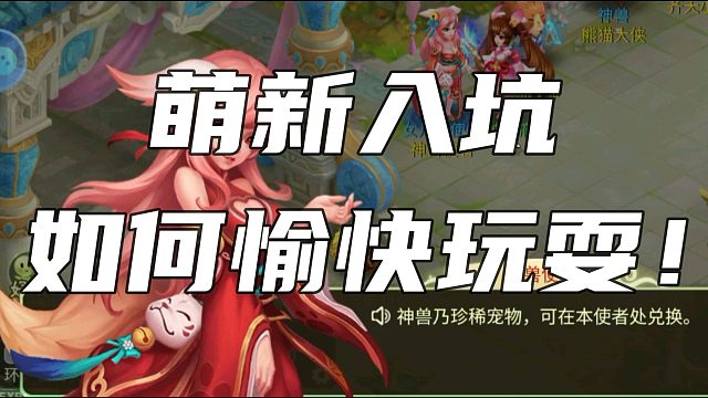 【回合制游戏】萌新入坑到底要怎么样才能愉快的玩耍呢？