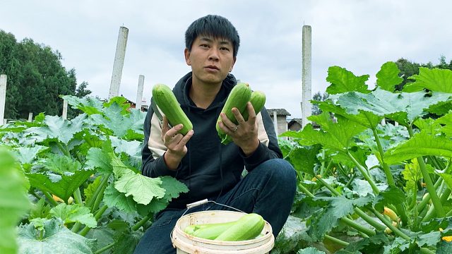 农民种它发财了，每亩地收入上万元，销路还不用愁