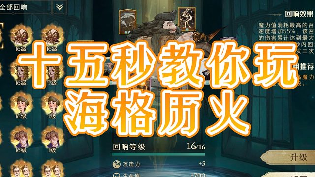 十五秒教你玩海格历火