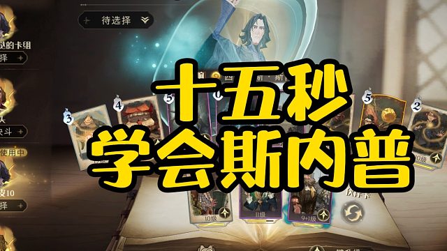 十五秒教你玩斯内普