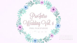 fcpx插件 30组优雅专业婚礼MV短片片头片尾标题模板 ProIntro Wedding V6