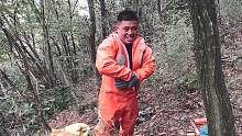 虎头蜂蜇伤砍柴的村民，胖哥出手为民除害