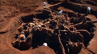 科学家将10吨水泥灌入蚁穴，挖开后震惊：简直是外星人地下帝国