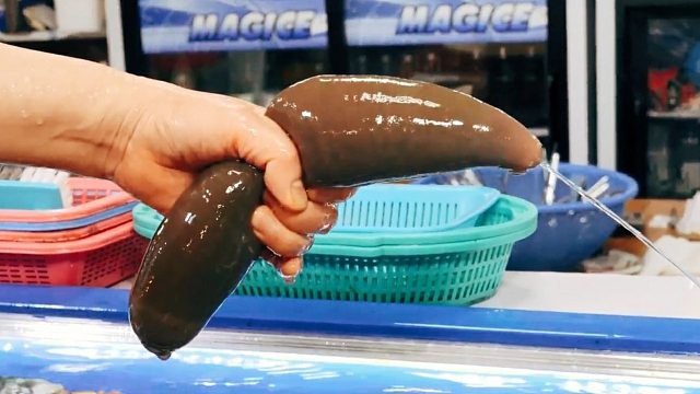 【韩国街头】污污的大蠕虫，猥琐的美味佳肴~