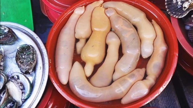 韩国海鲜小贩处理海肠子，快刀去内脏做刺身成盒卖！