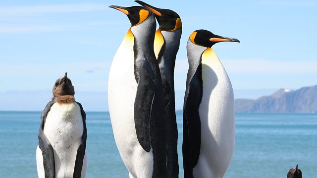 【经典战役Top250】（下）和肥神双经典排劣势翻盘局~这才有意思、总是千篇一律的重复也没意思~~