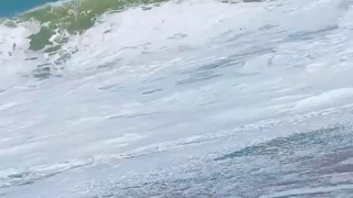 聆聽大海的聲音(?????)