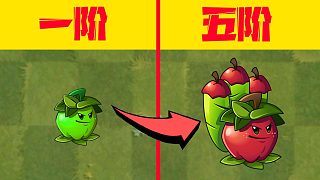 植物大战僵尸：氪金版的原豌—苹果迫击炮，五阶收益到底值不值？