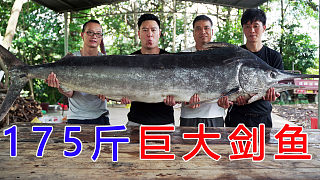 破记录试吃，请全村吃一条170多斤的巨大剑鱼，太霸气了