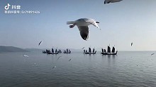 这是海还是湖