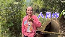小婷小胖在山里找到很多野生八月炸，自然開裂的直接開吃超級甜