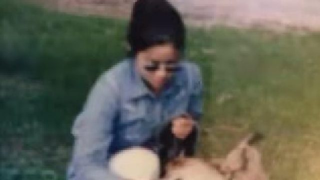 最深的爱是成全