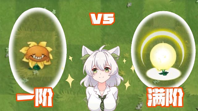 植物大战僵尸：一阶向日葵和满阶向日葵的差距！满阶直接变身？