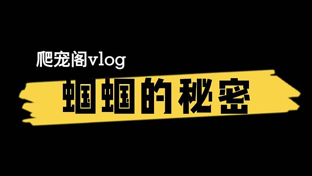 我发现了蝈蝈的秘密【爬宠阁】