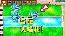 植物大战僵尸：挑战活死人改版，遇到奇葩大嘴花，浑身都是冰块