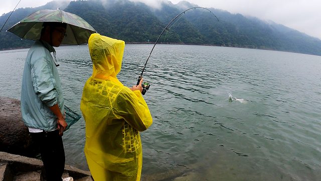 开头就跑了条超米级翘嘴，阴雨天三人惊喜不断，窗口期更是疯狂