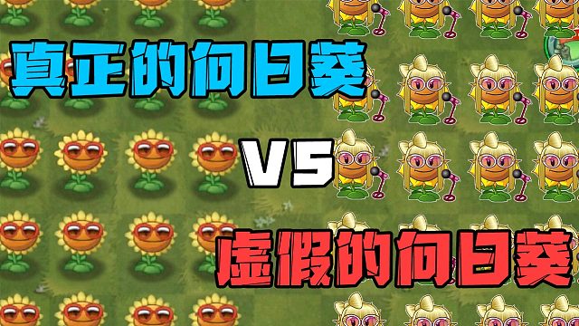 植物大战僵尸：向日葵站起来了？五阶百分比伤害太强了！