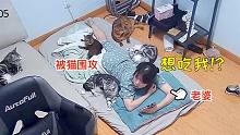 用貓薄荷煮衣服，老婆穿上后驚了！家里貓要吃了我？