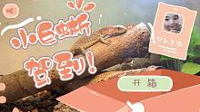 家里來了一只巨蜥?。。?！重慶人的日本生活記錄