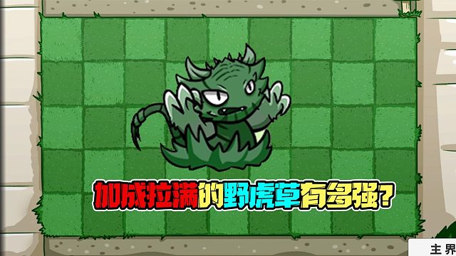 植物大战僵尸：属性拉满的野虎草有多强？看完这个视频你就知道啦！