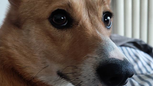 卧龙·帕瓦落地·精练·5上7