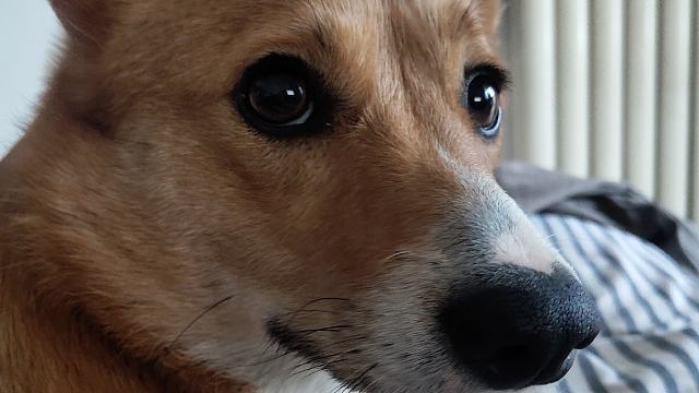 卧龙·帕瓦落地·精练·4上7