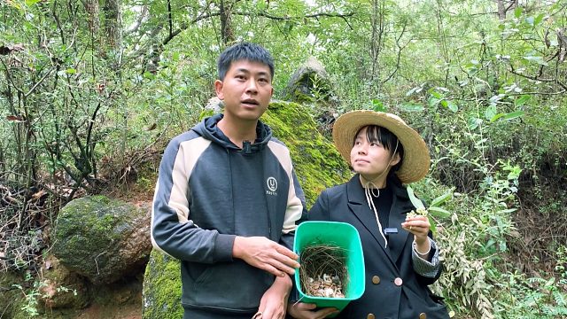 农村媳妇想吃野生菌，老公就带她进山去捡，看看收获怎么样