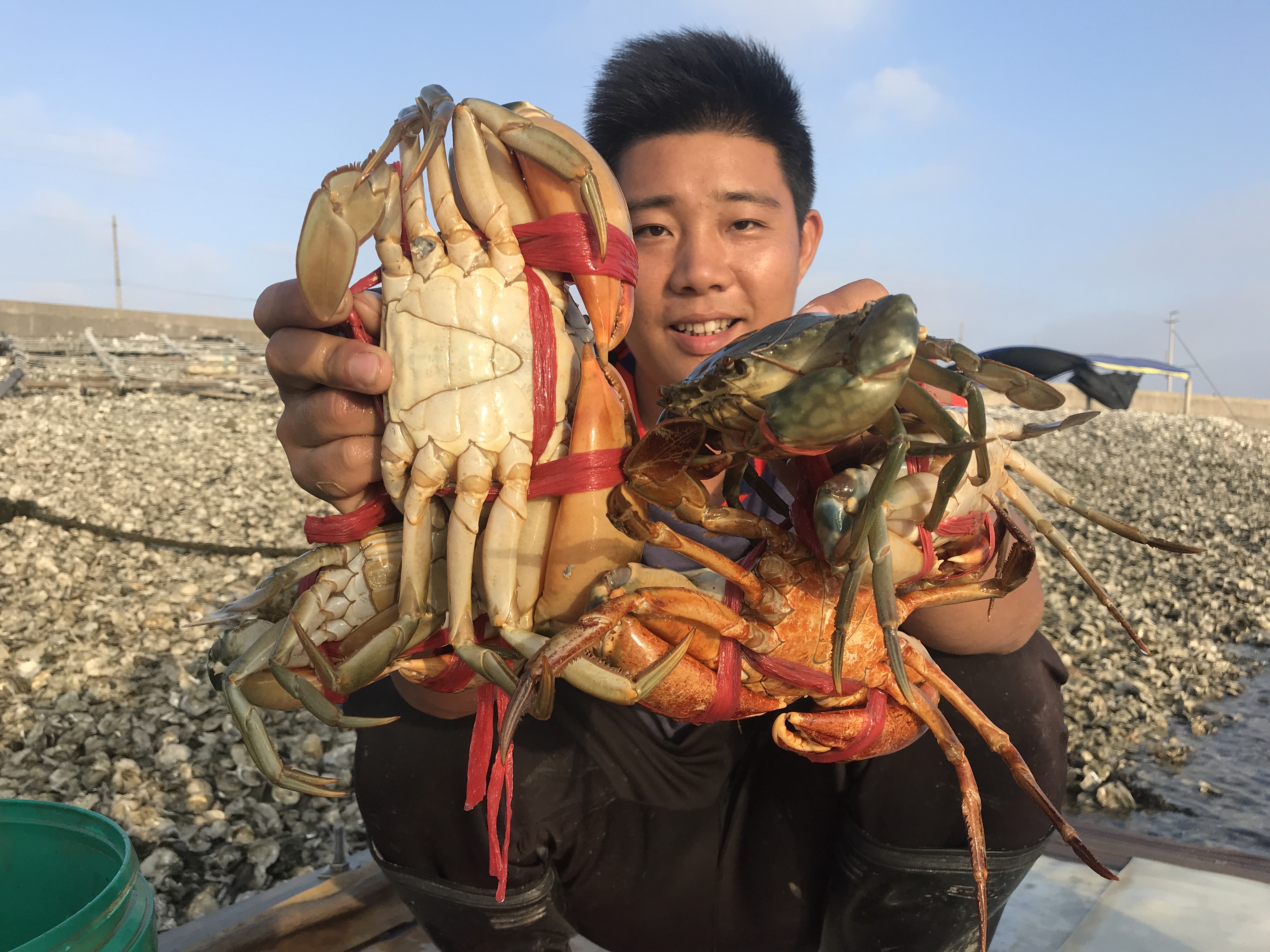 阿兴早晨收地笼发财了，抓到一个黄油蟹，一个就能卖2000