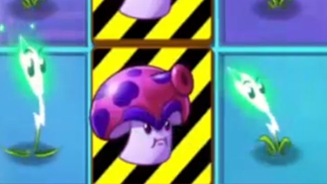 如 此 保 护【PVZ2】2021.10.22晚