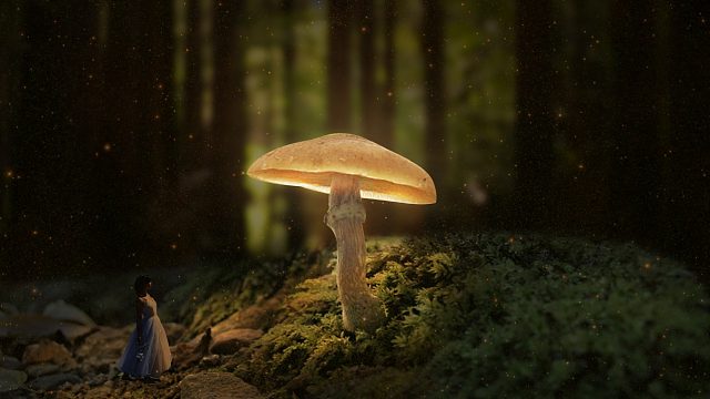 【PS合成】PS场景合成童话背景蘑菇