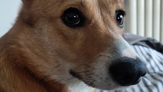 卧龙·帕瓦落地WX ·精练5---7