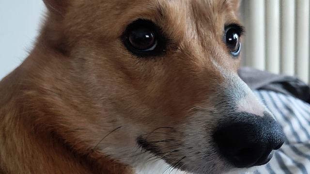 卧龙·帕瓦落地WX ·学习了个追成和追败+7