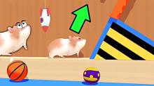 仓鼠迷宫游戏 小仓鼠勇闯迷宫，营救它的小伙伴！