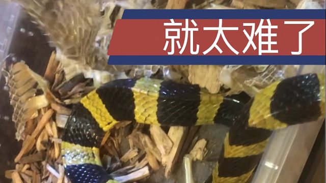 给超大减速带撸皮是一种什么样的体验？———当然是心惊胆战啦