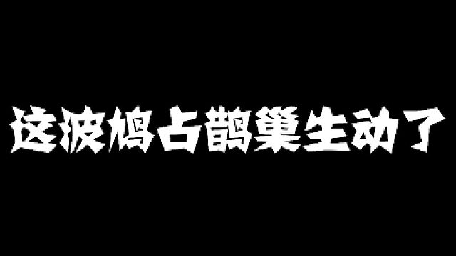 【阿瓦隆】这波鸠占鹊巢生动了