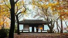 風(fēng)吹雨過秋葉落, 人生難免幾回錯。 葉落成殤花盡哀, 時光已過終不惑。