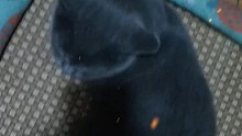 擼貓毛